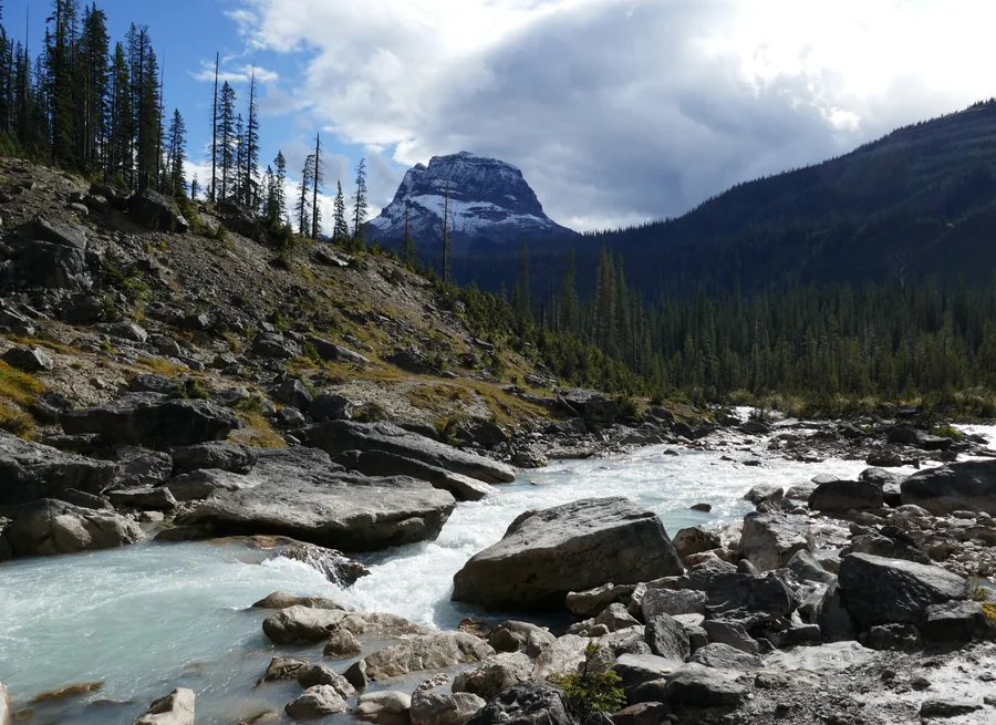 Fast flowing mountain river between rocks and conifers